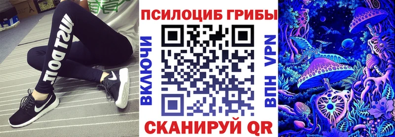 где купить наркотик  Магадан  Галлюциногенные грибы Psilocybine cubensis 